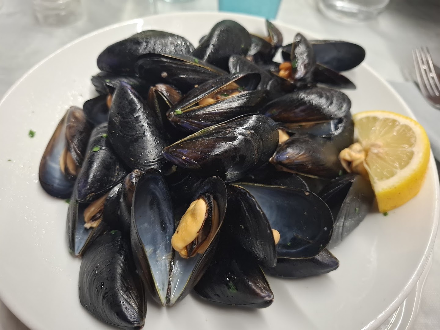 Ristorante PIZZERIA MOLO 10