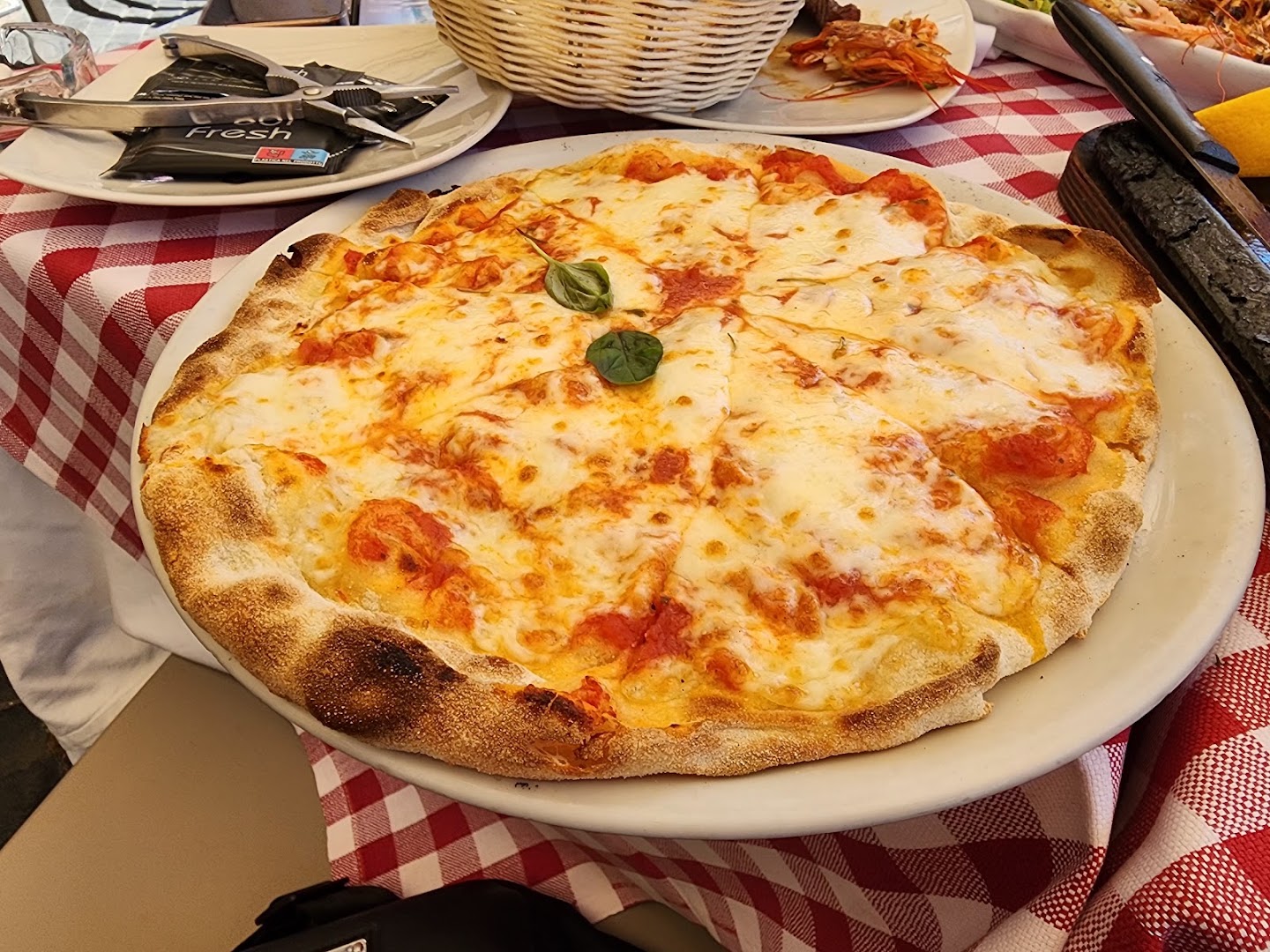 Ristorante Pizzeria Navona