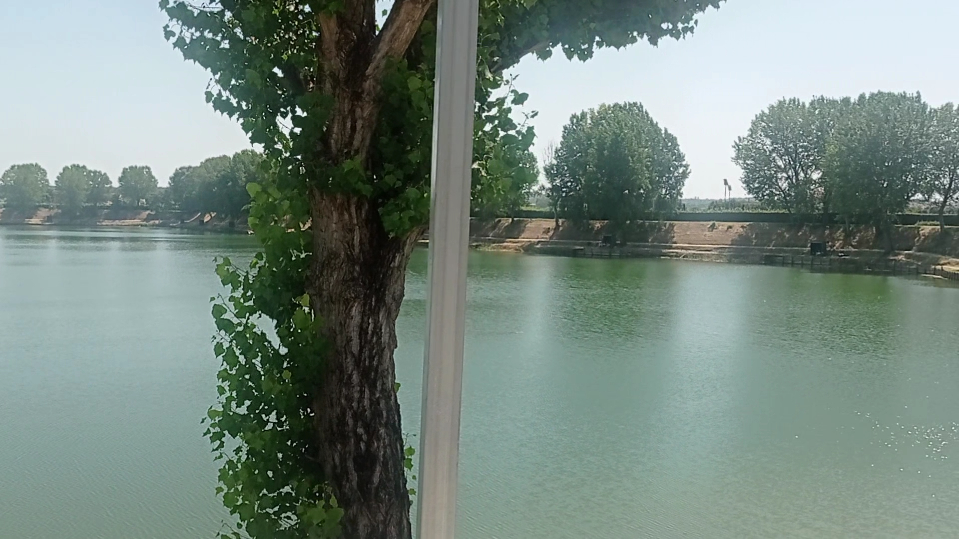 Ristorante Pizzeria Oasi al Lago