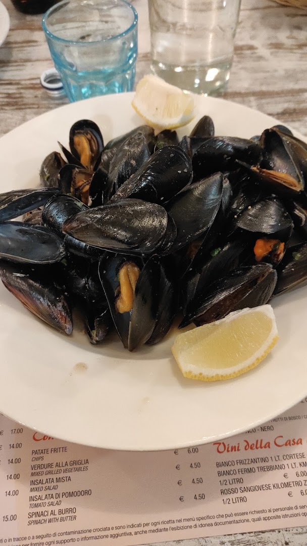 Ristorante Pizzeria Pappagallo Cattolica