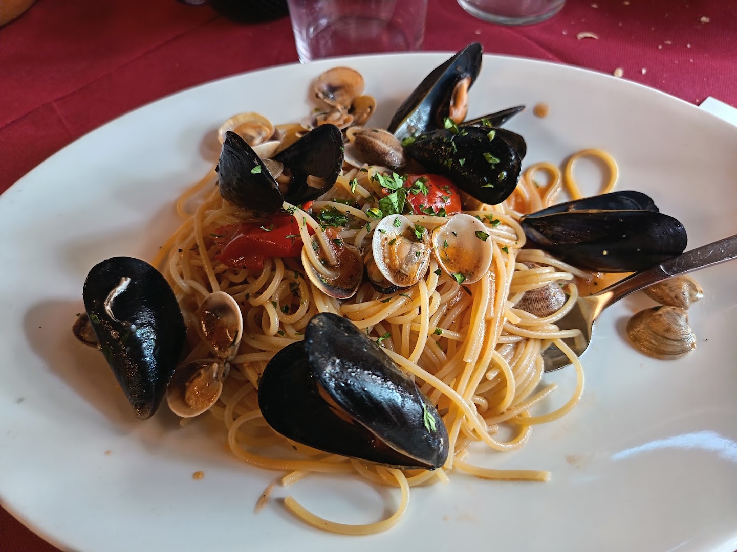 Ristorante Pizzeria Vesuvio Di Castellano Elisa