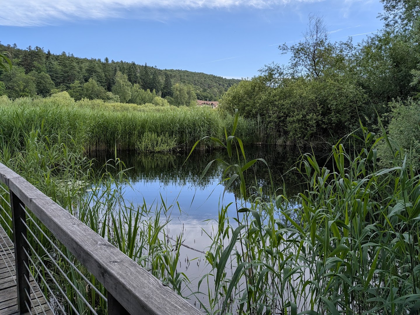 Ristorante Rast am See