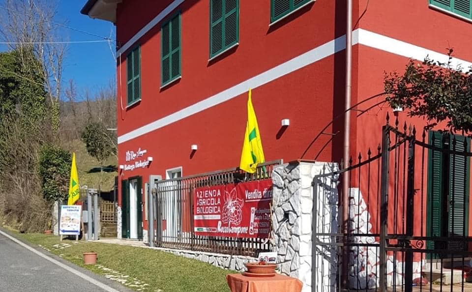 RISTORANTE ROSSOLAMPONE