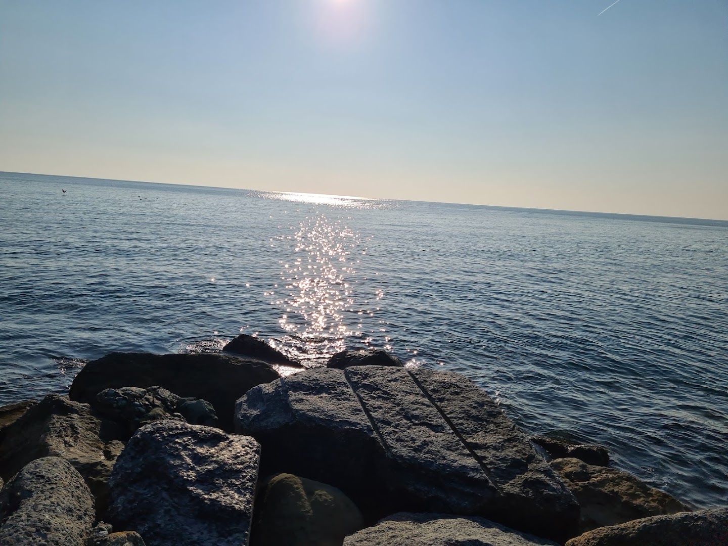 Ristorante Spiaggia Bar Bagni Nettuno