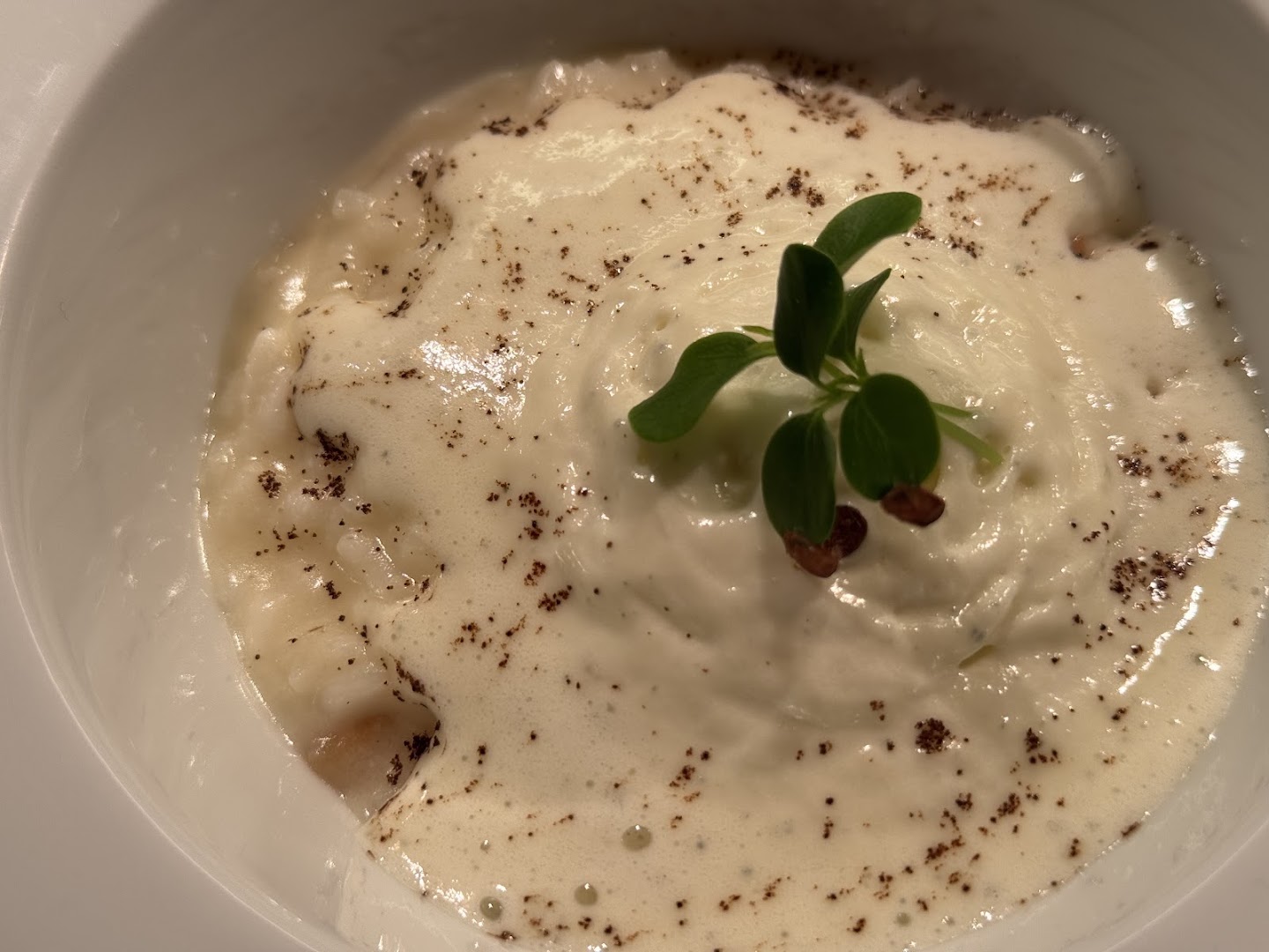 Ristorante Steak house Ciolà