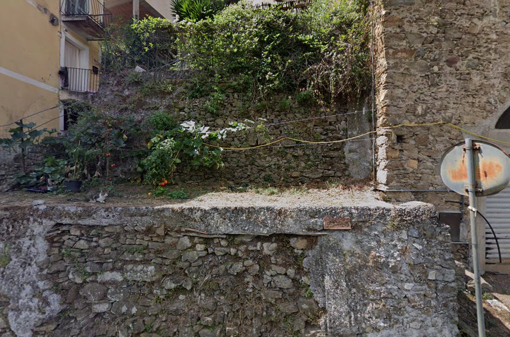 ristorante tiziano