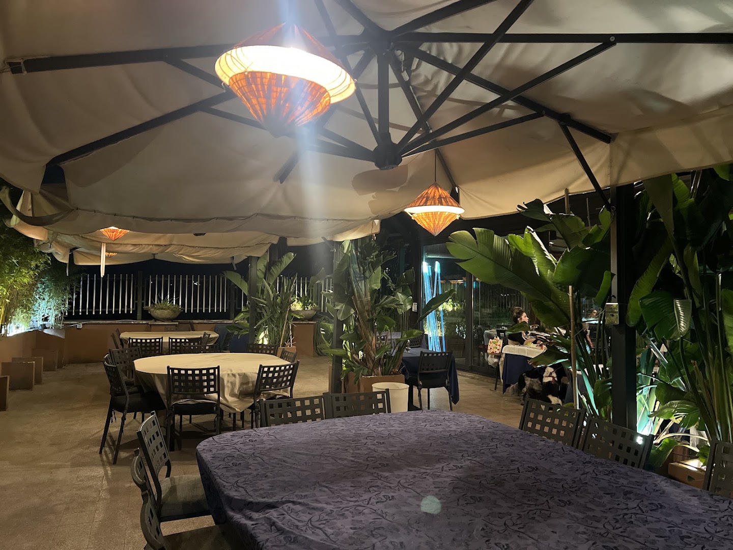Ristorante Vietnamita Thien Kim Roof Garden, Roma