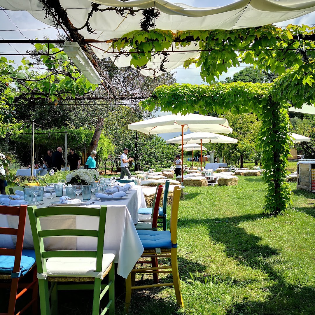 Ristorante Agricuoco