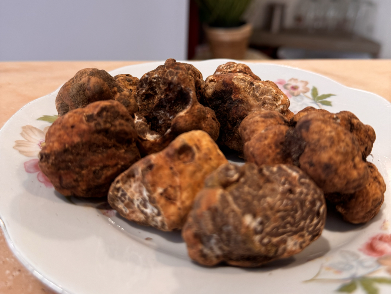 Ristoro Dantesca toscana tartufo fresco vegetariana vegana