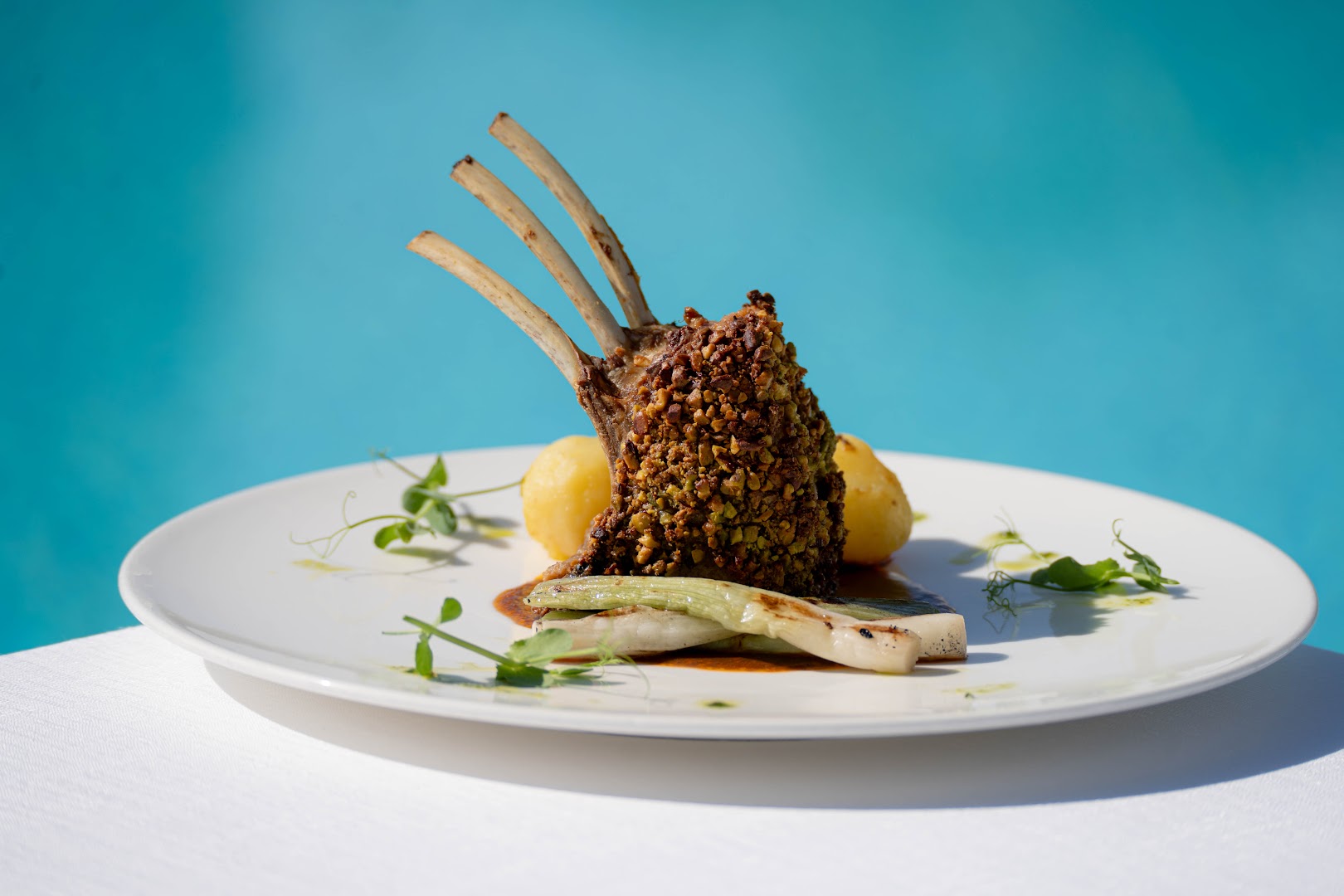 Riviera Oasis Restaurant