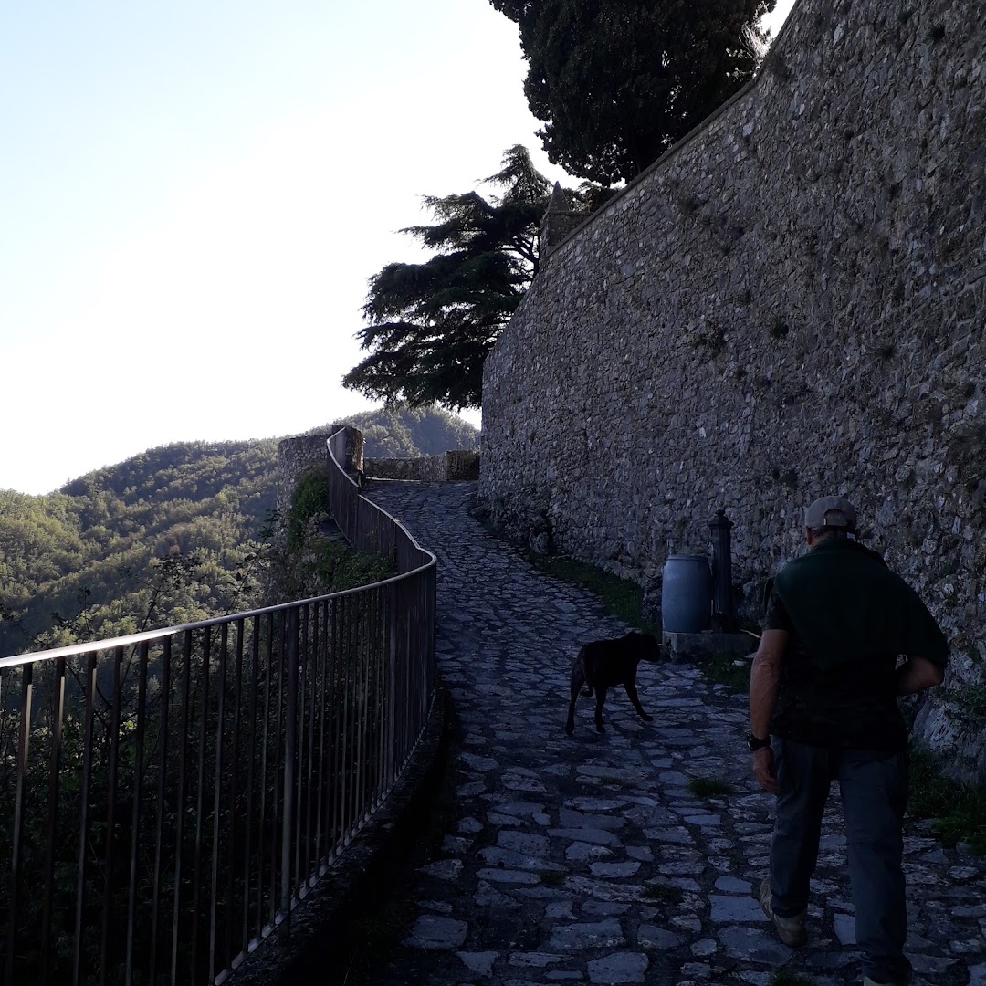 Rocca Di SASSI, Molazzana