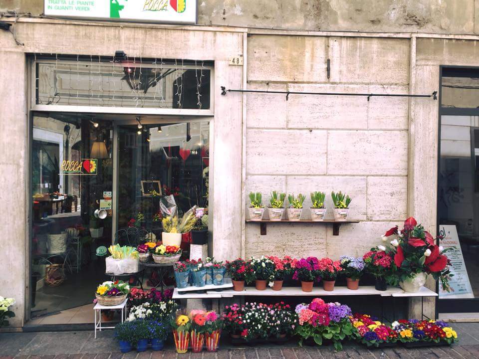 Rocca Fiori Di Bonanzinga Maddalena, Ovada