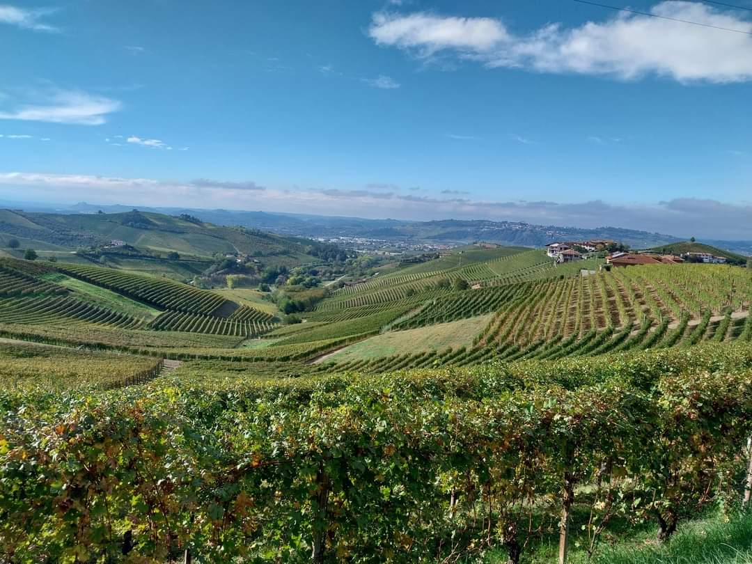 Rocche dei Sette Fratelli- Tappa della Strada Romantica delle Langhe e del Roero, Treiso