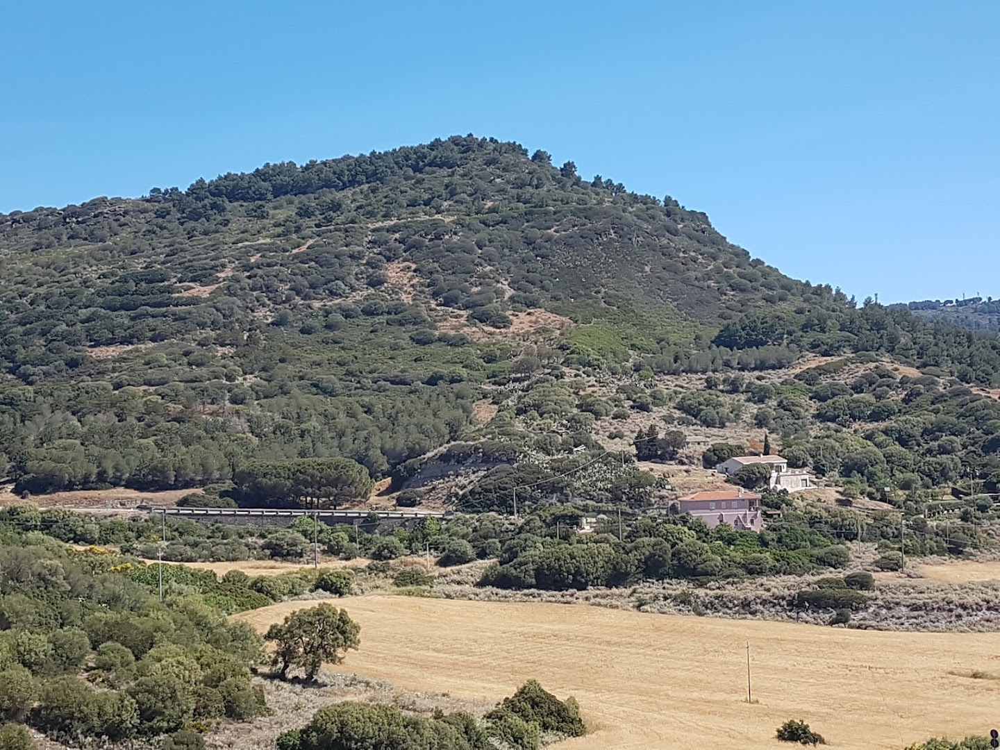 Roccia dell'Elefante, Castelsardo
