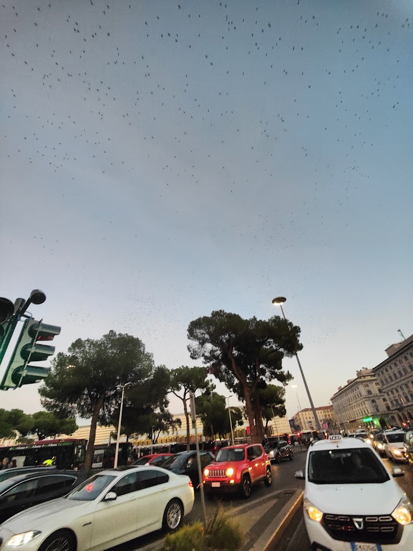 Rossosapore