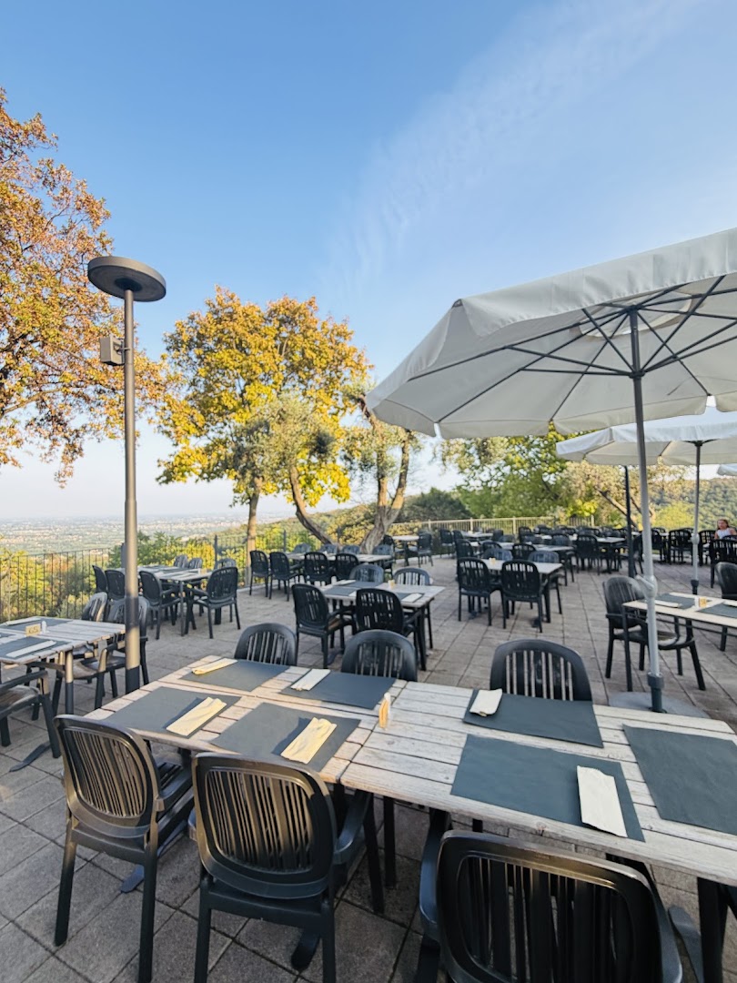 Rover