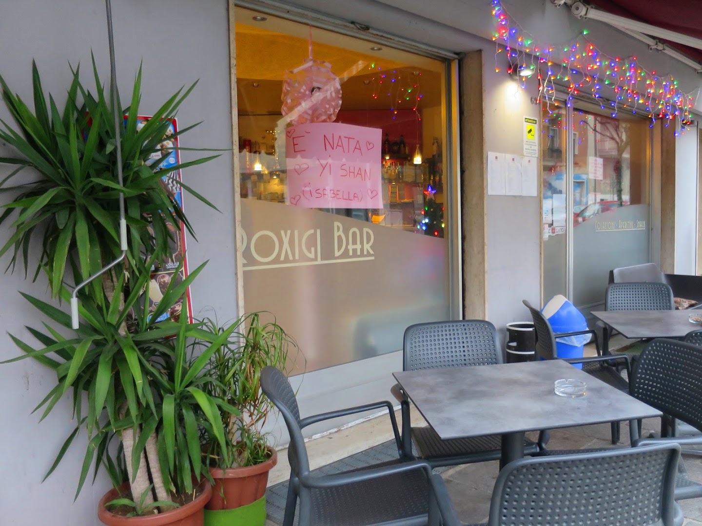 Roxigi Bar