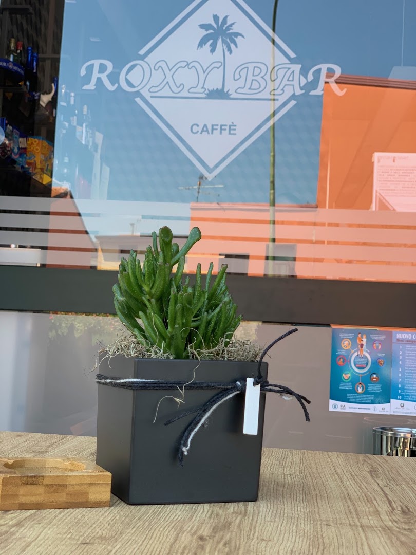 Roxy Bar Grottaminarda
