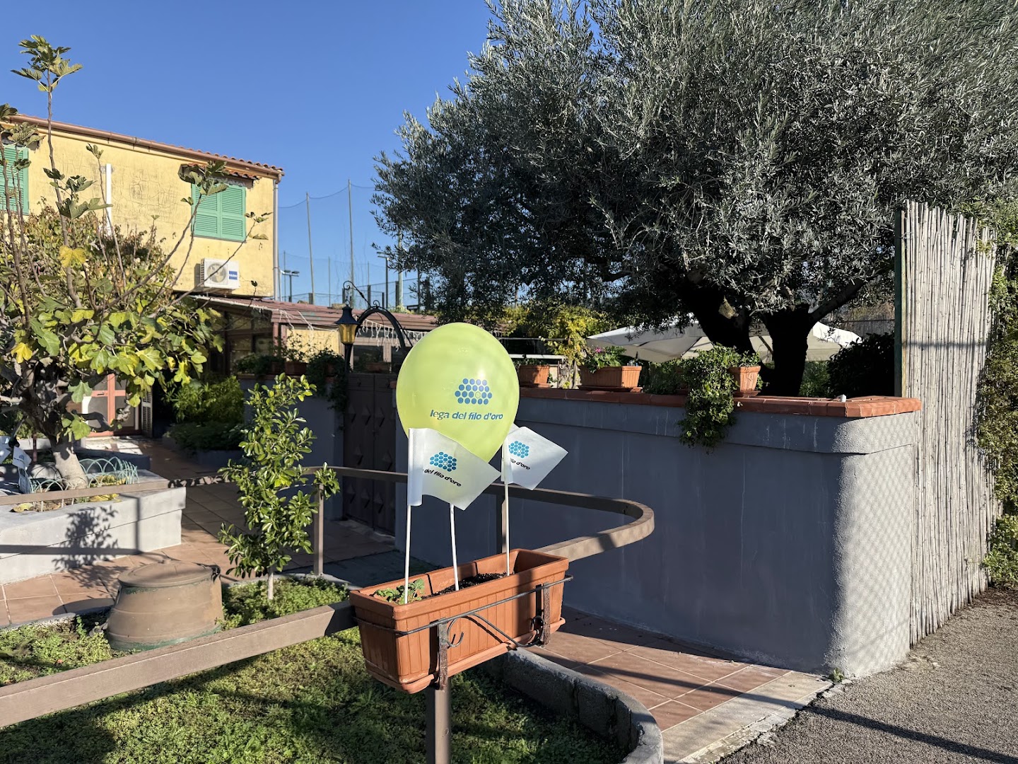 Royal Club San Giorgio Srl, San Giorgio a Cremano