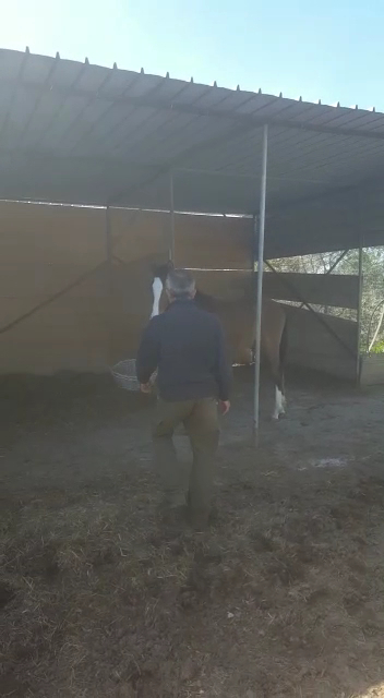 S.i.a.t. di Marco Mameli località Su Zinnigraxiu 3 Dolianova, Dolianova