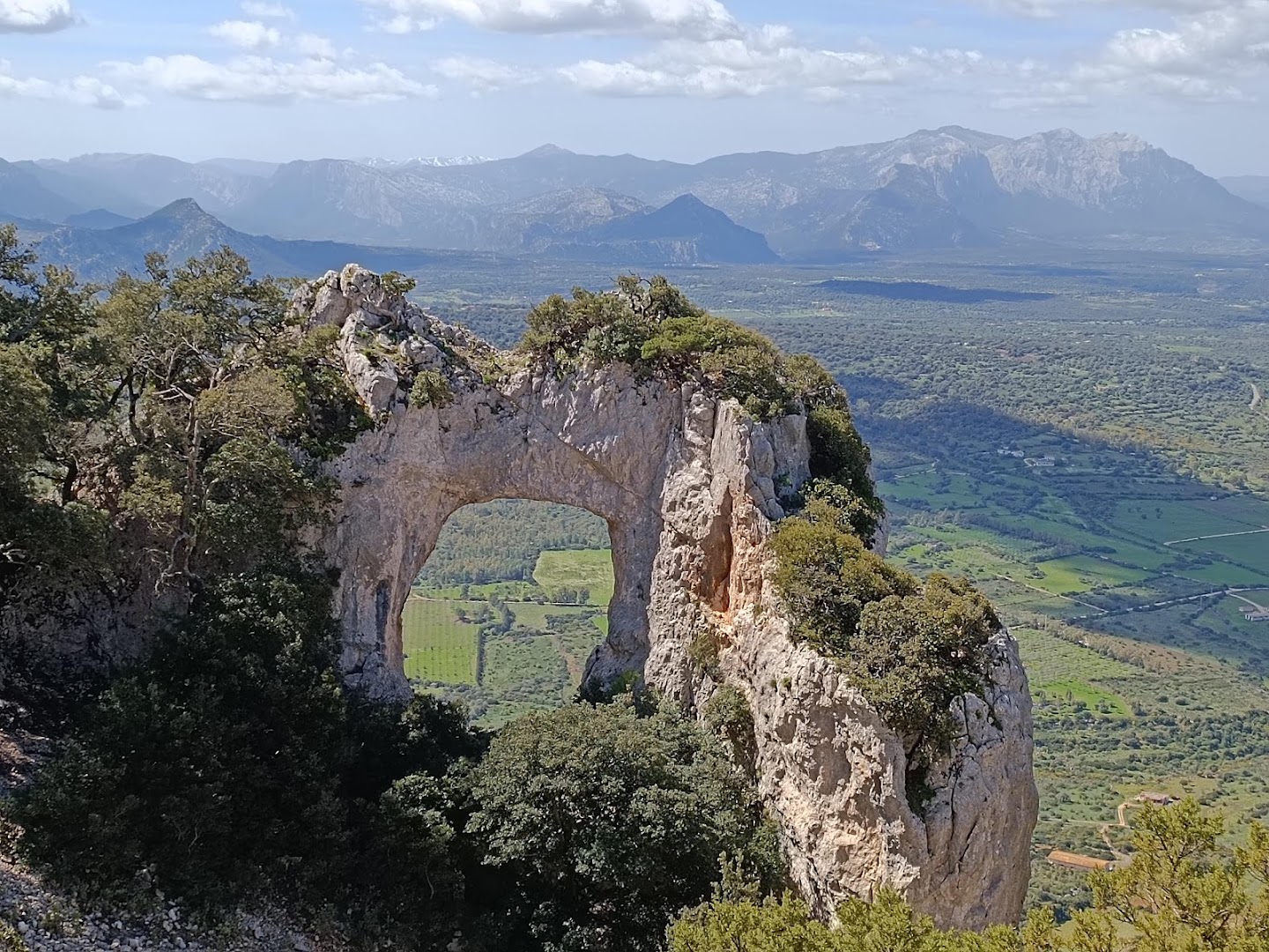 Sa Preta Istampata