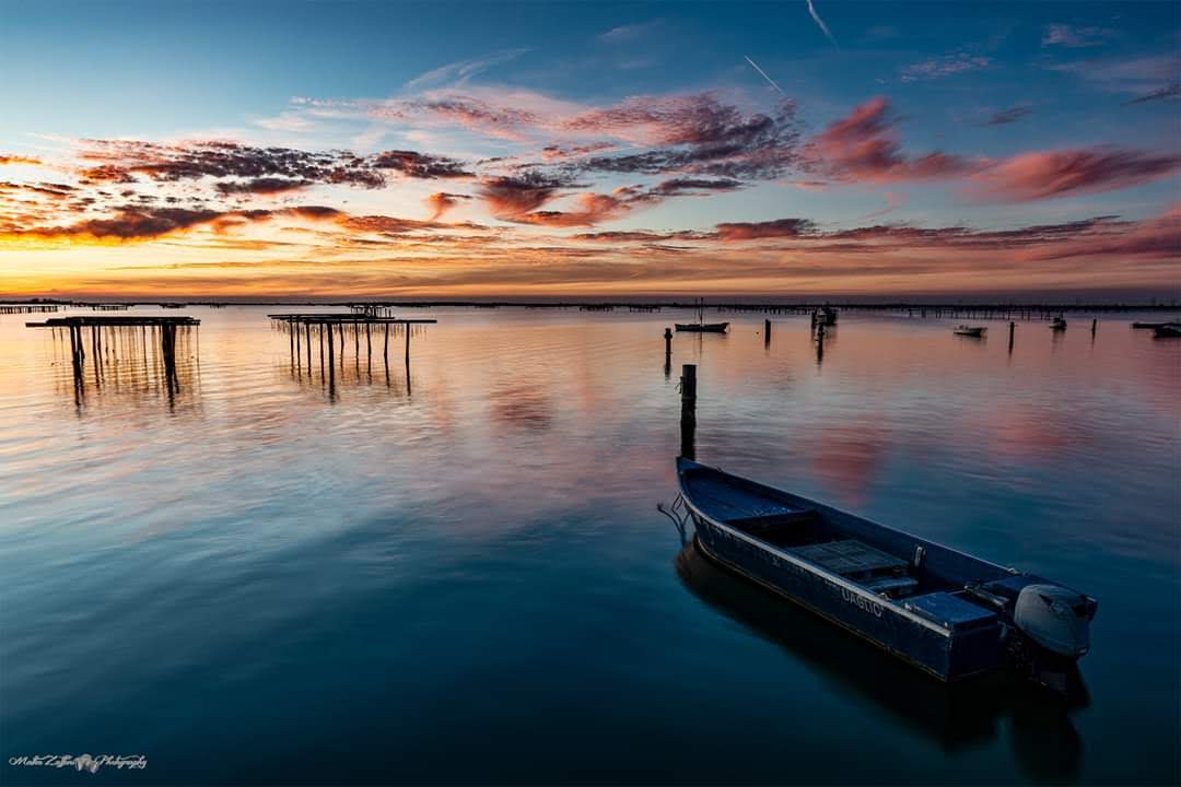 Sacca degli Scardovari, Porto Tolle