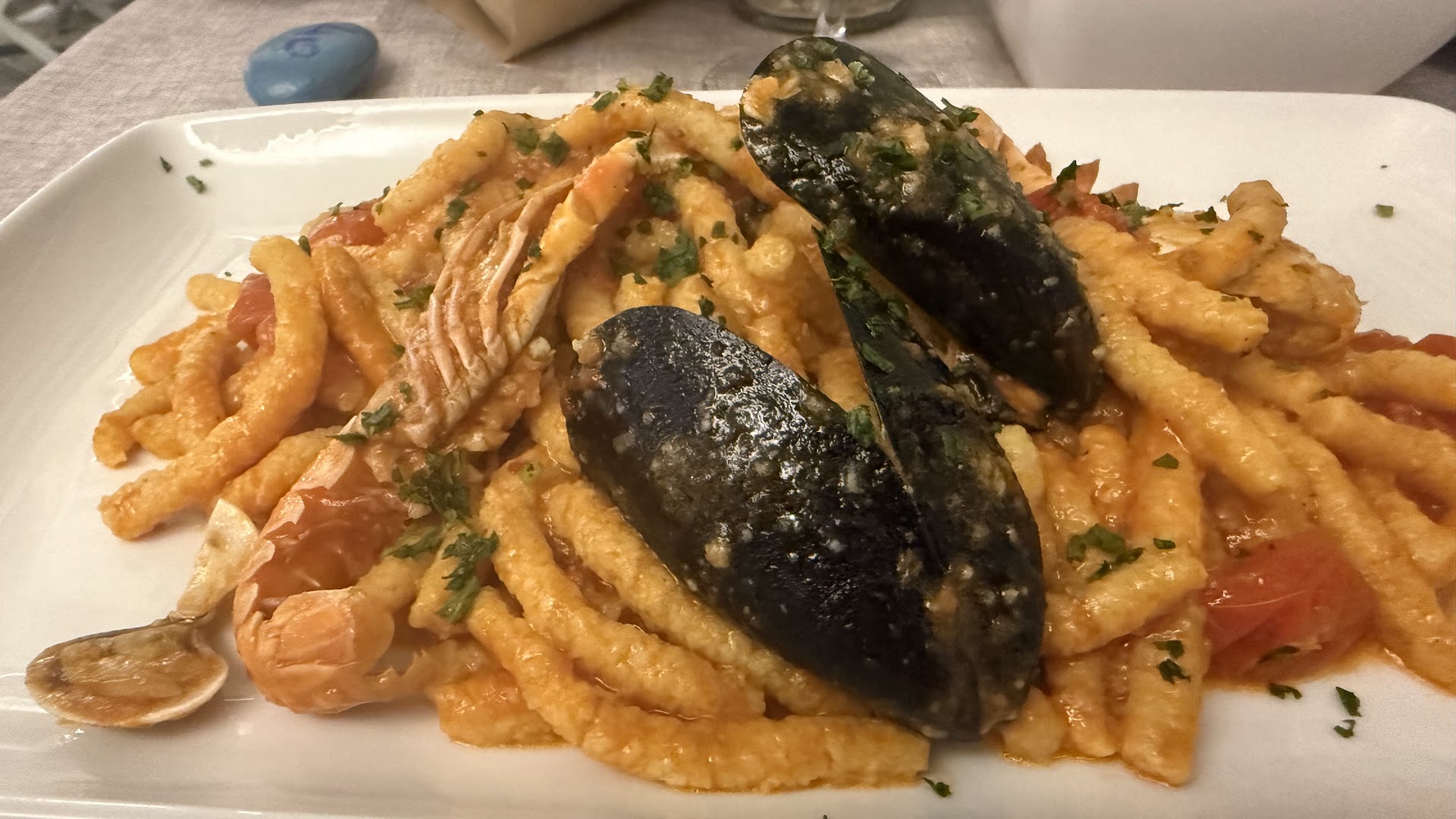 Sailors da Kuga Senigallia