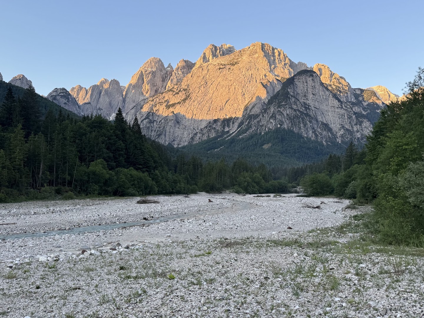 Saisera Wild Track