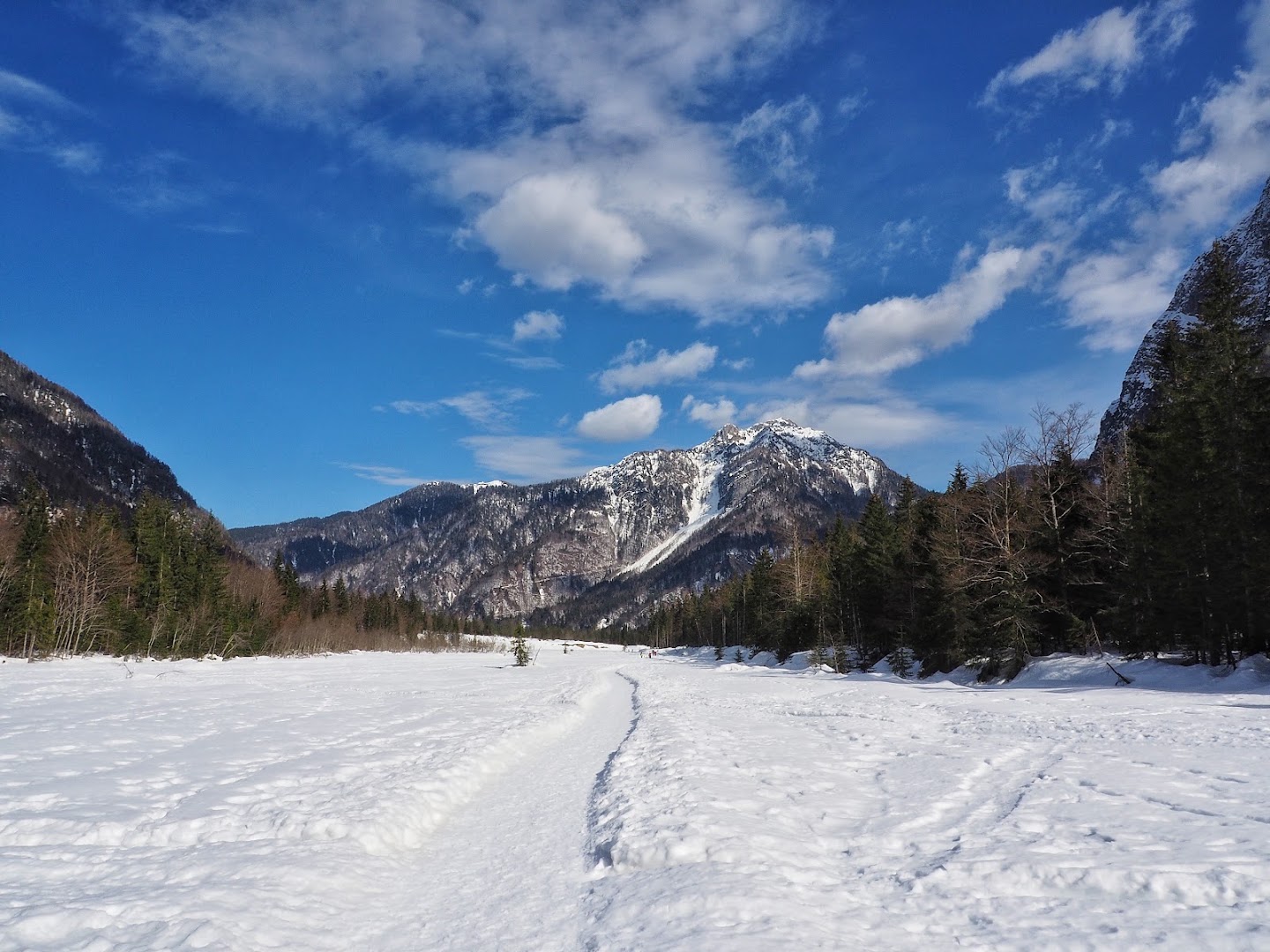 Saisera Wild Track