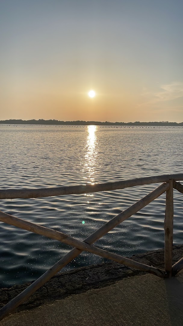 Salago