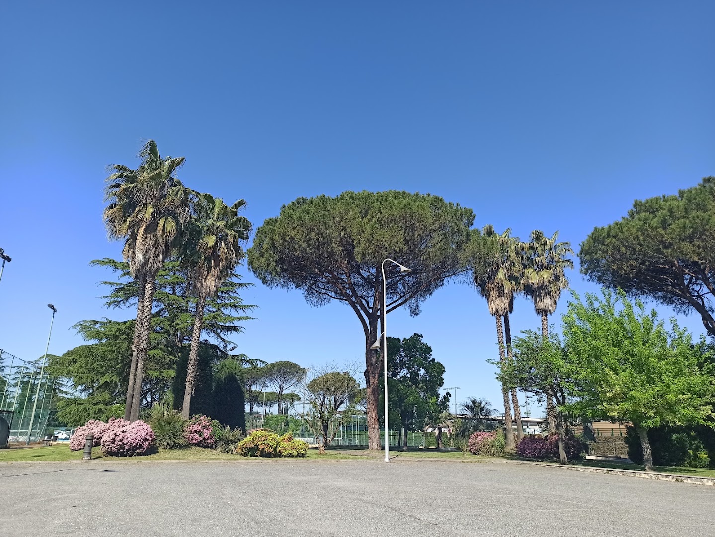 Salaria Sport Village