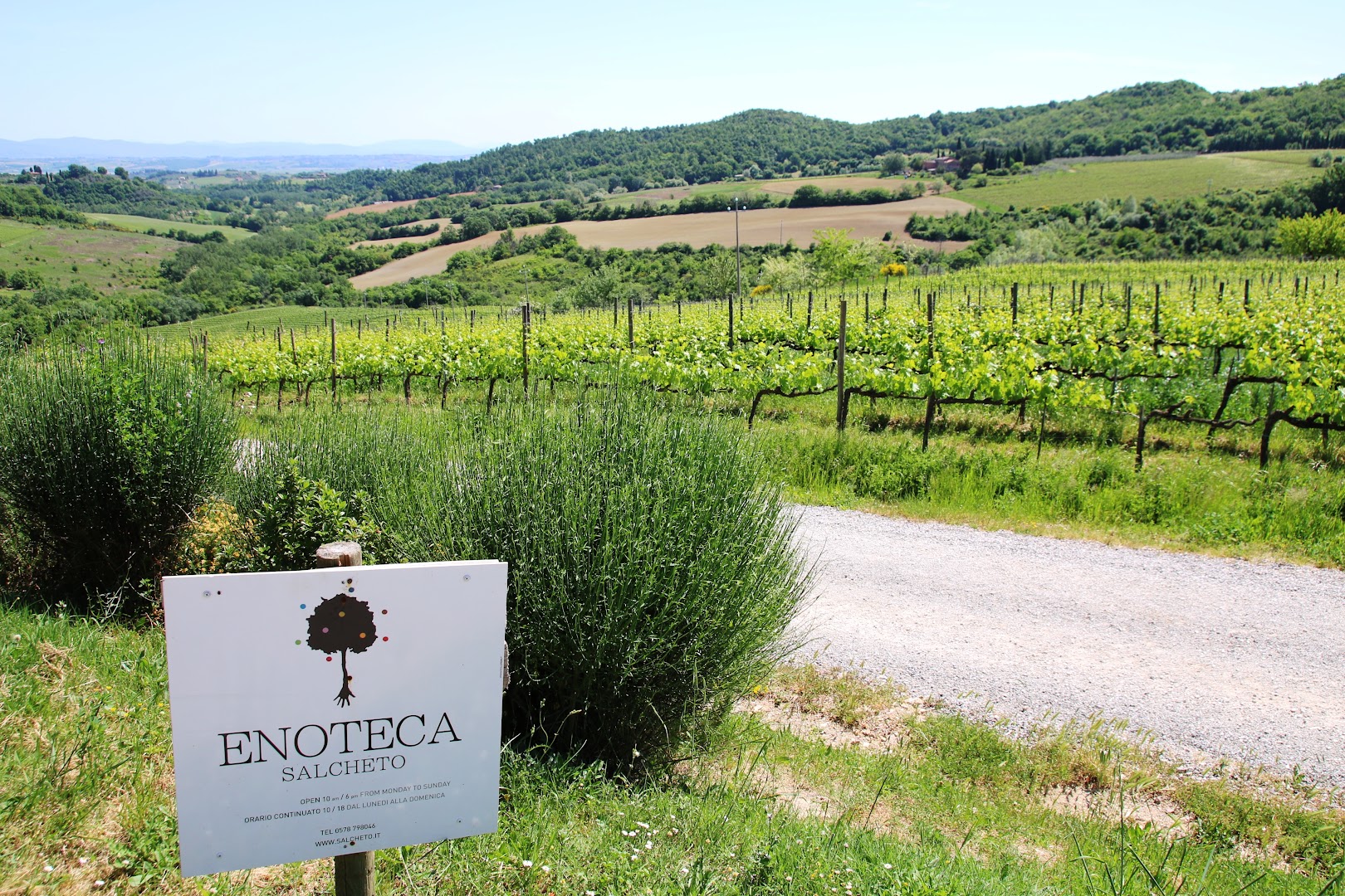 Salcheto Organic Winery in Montepulciano