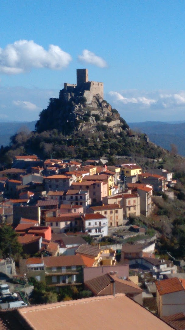Salis Pasquale