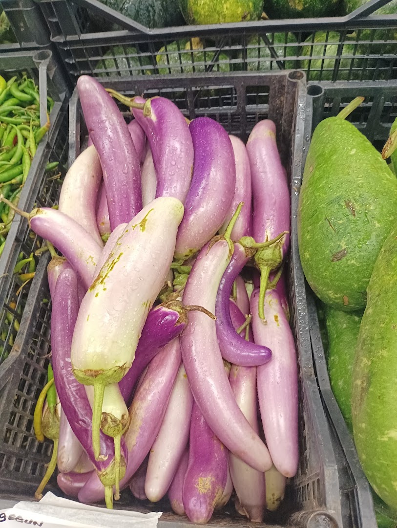 Salman Food (Anaj Alimentari)