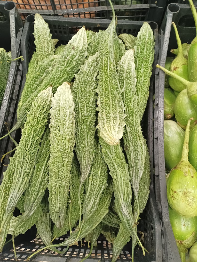 Salman Food (Anaj Alimentari)