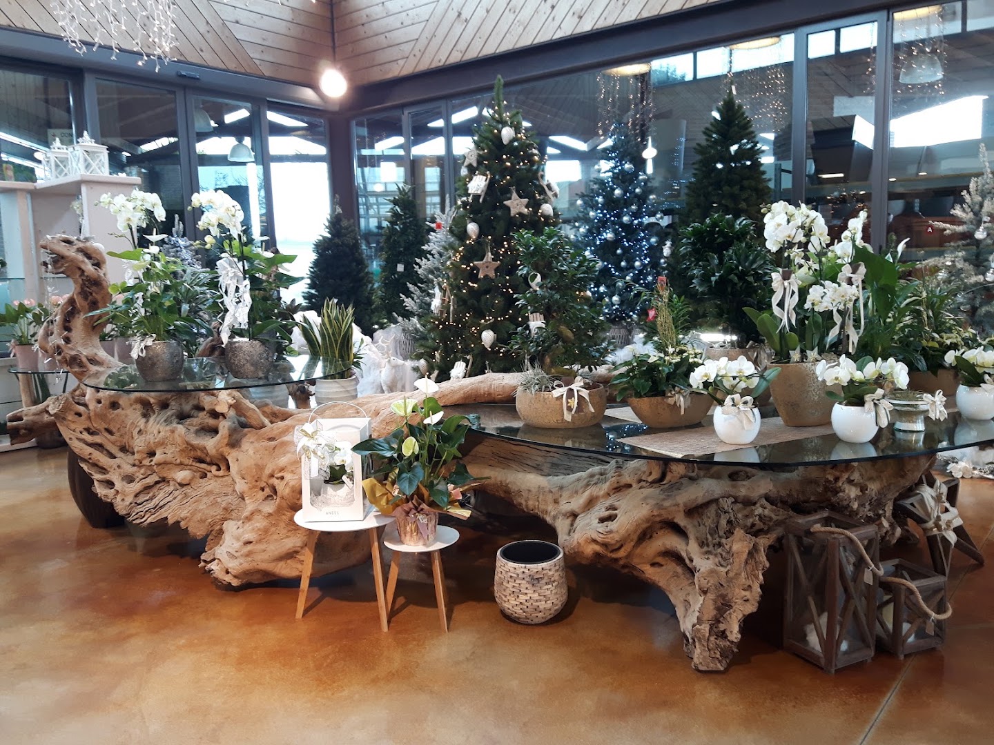 Salmaso Vivai - Botanica e Design