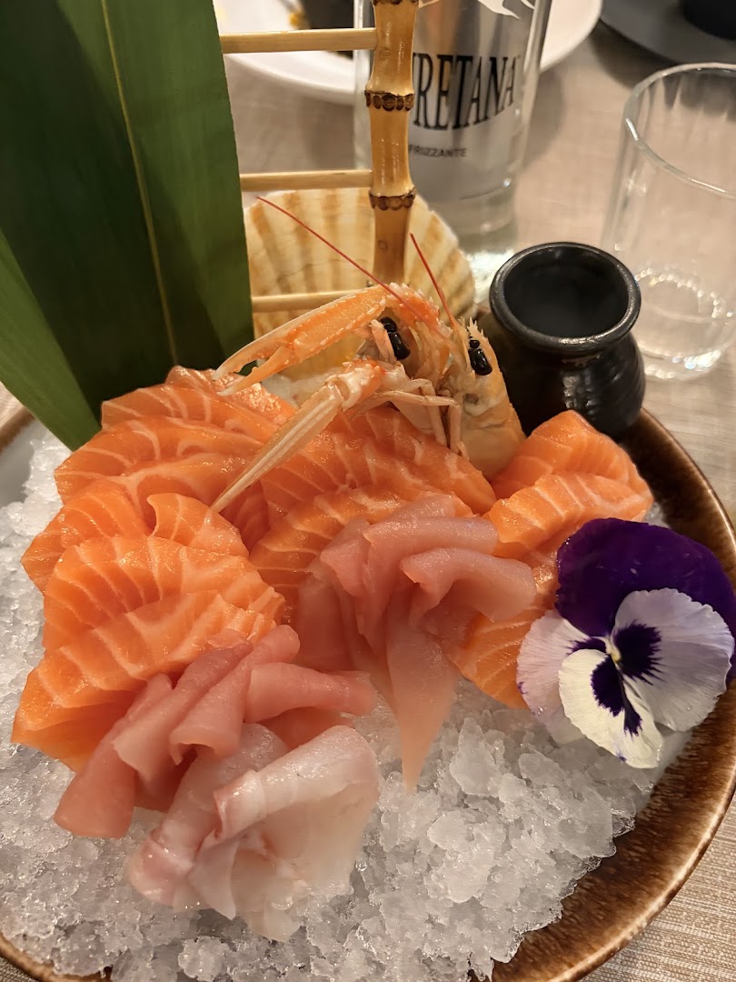 Salmon Rise Sushi | Montebelluna