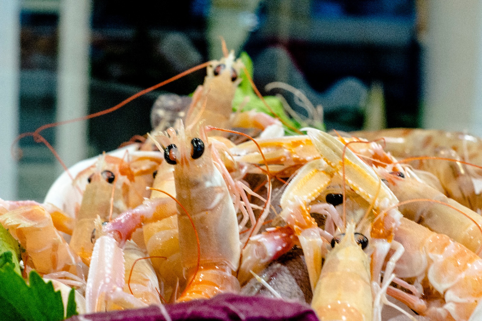 Salsedine Cucina di Mare e Pizza, Termoli