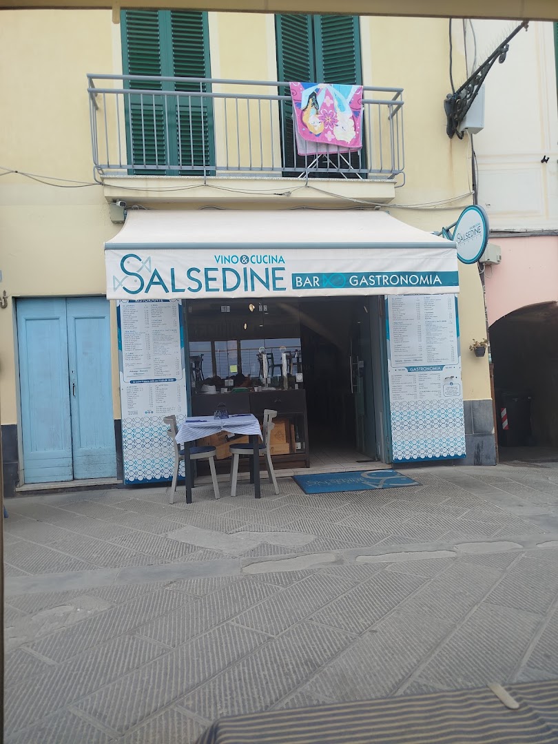 Salsedine