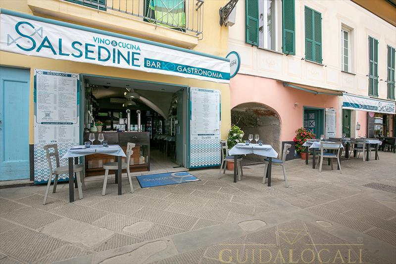 Salsedine