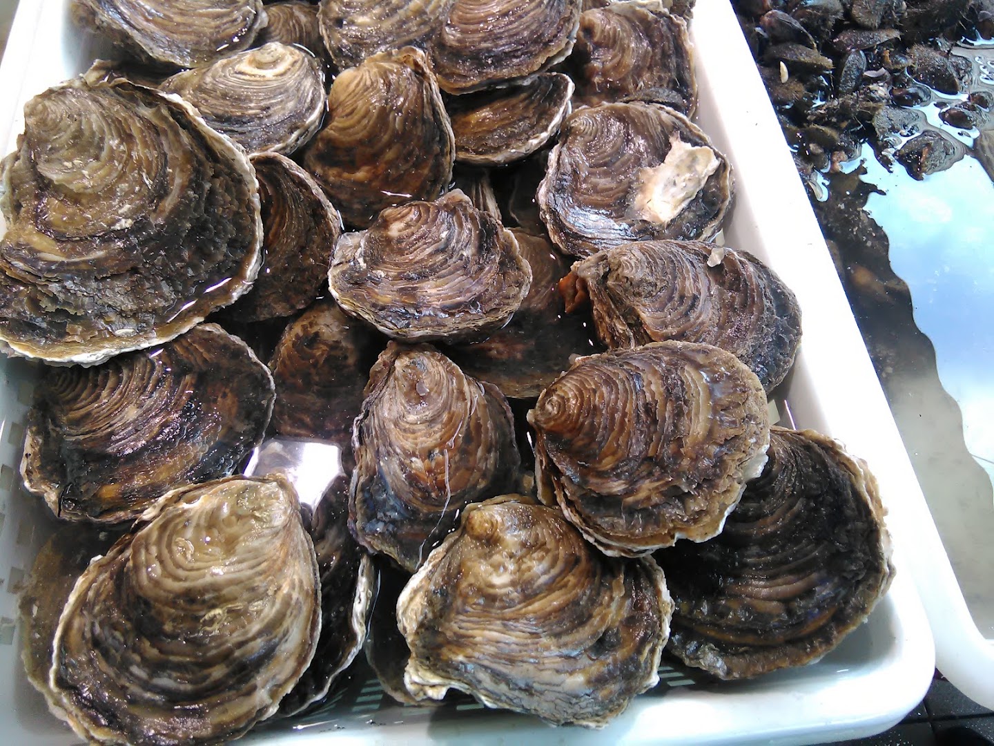 Salumeria Simone