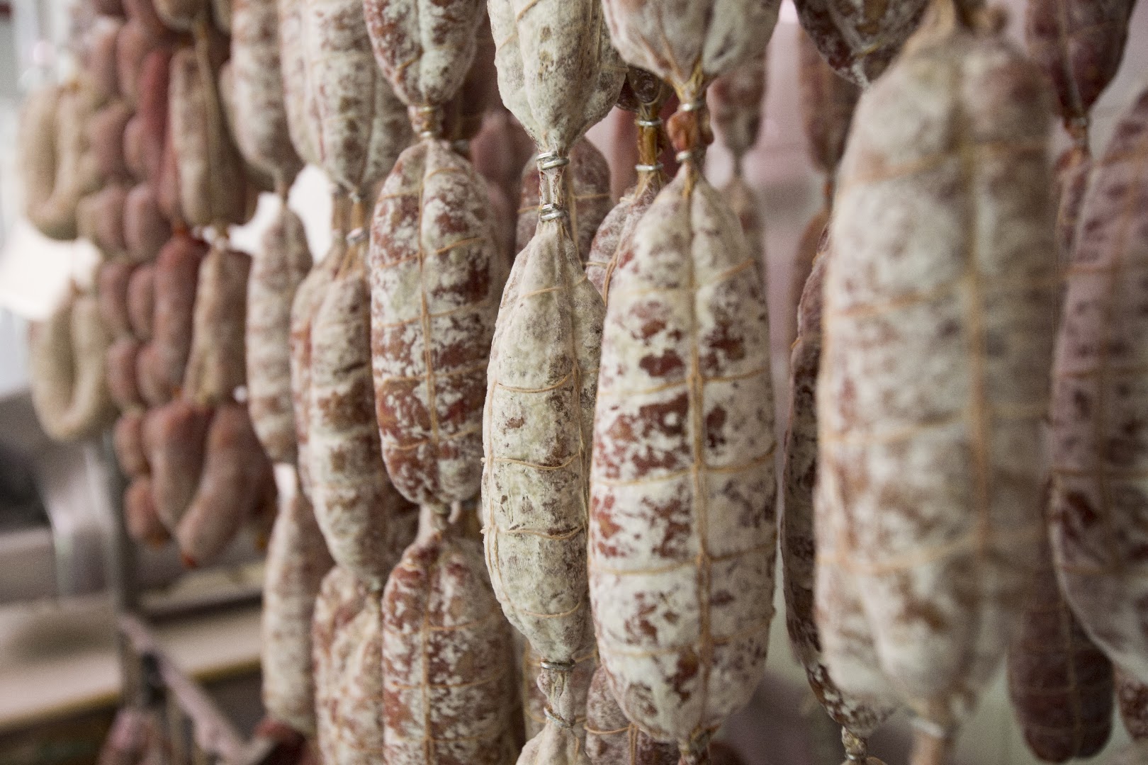 Salumificio Viviano s.r.l.