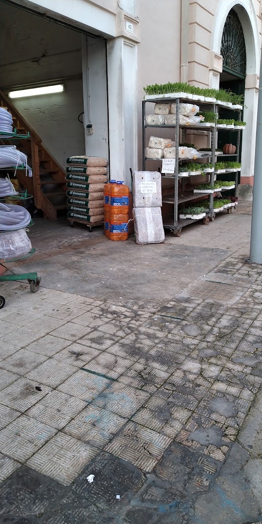 Salvatore & Ro srl