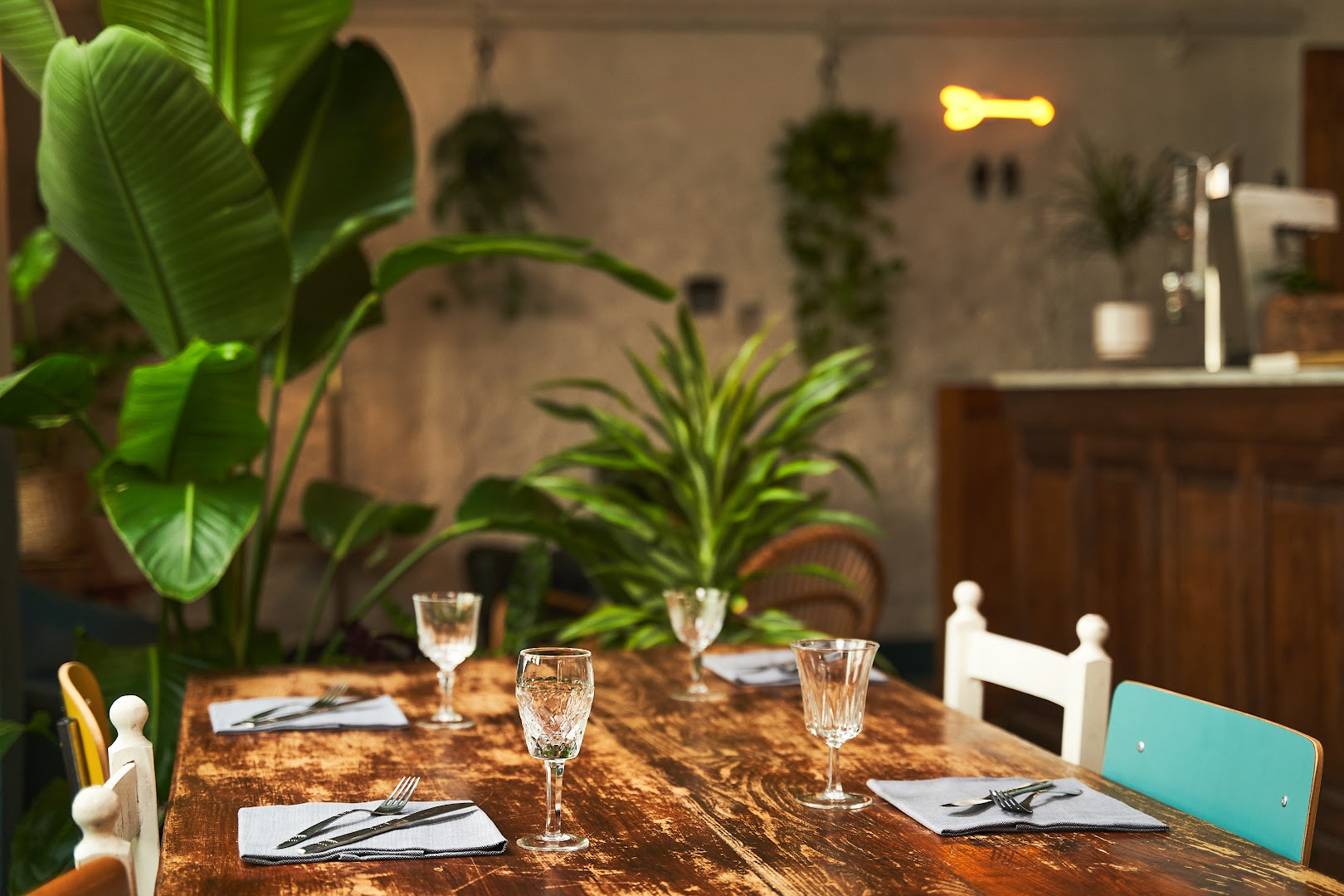 Samambaia caffè cucina
