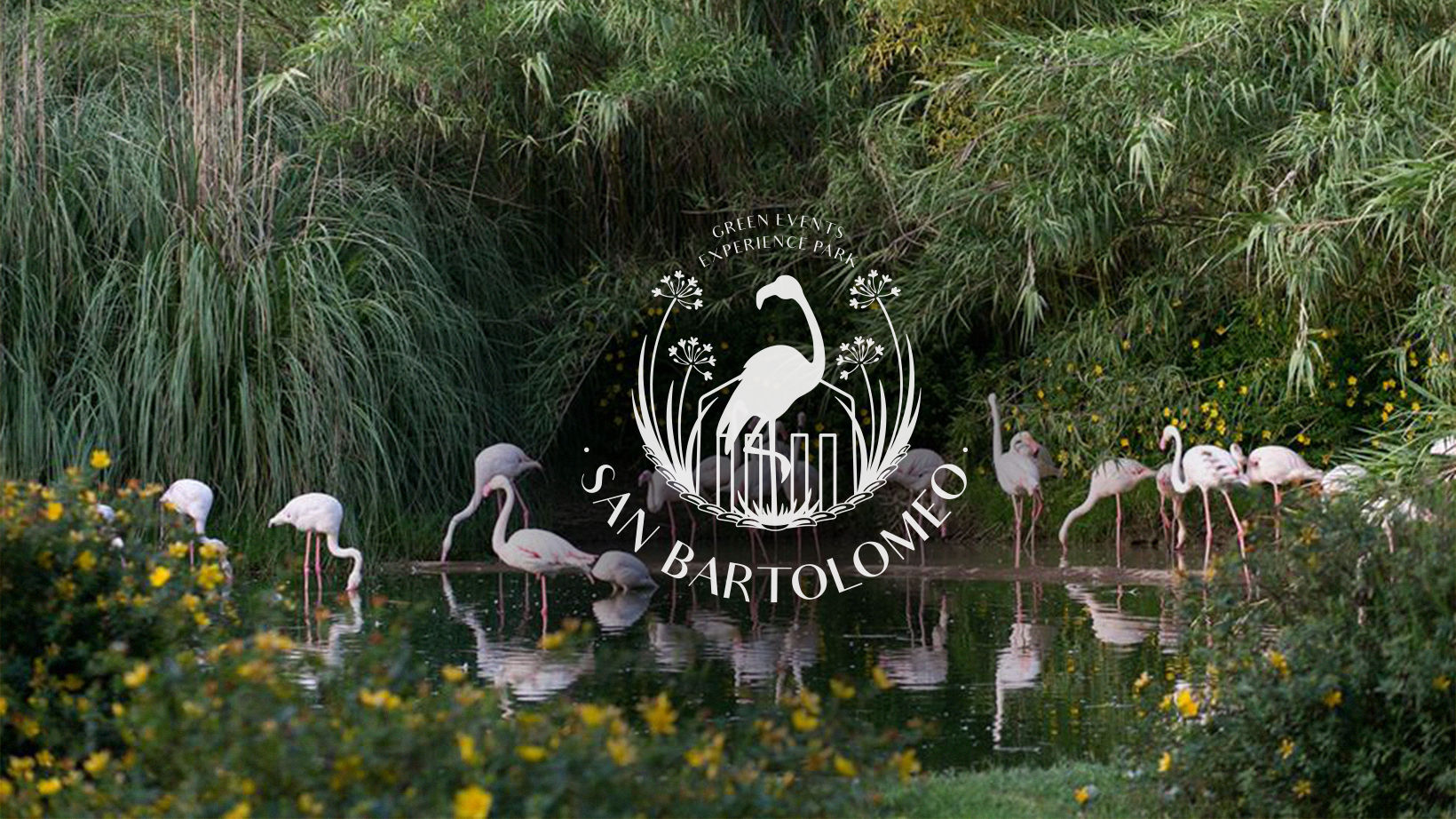 San Bartolomeo Green Events - Experience Park