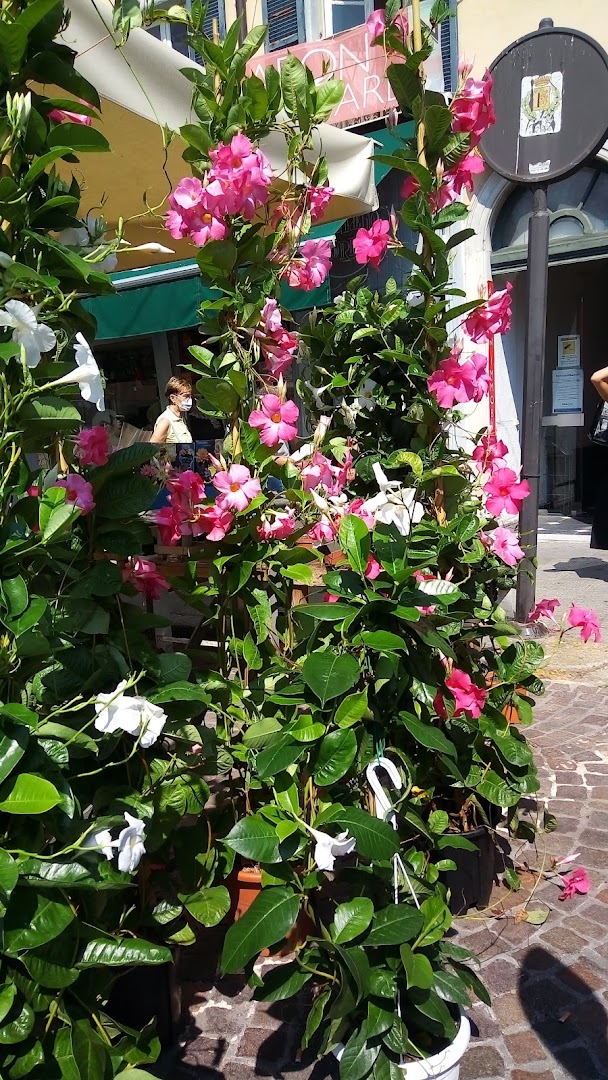 Sanremo Fiorita
