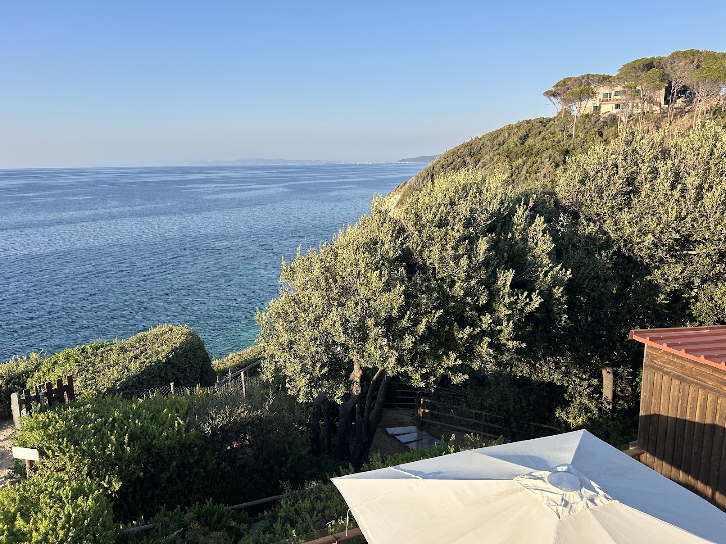 Sansone Reef - Bar - Tavola calda -