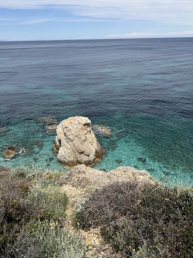 Sansone Reef - Bar - Tavola calda -