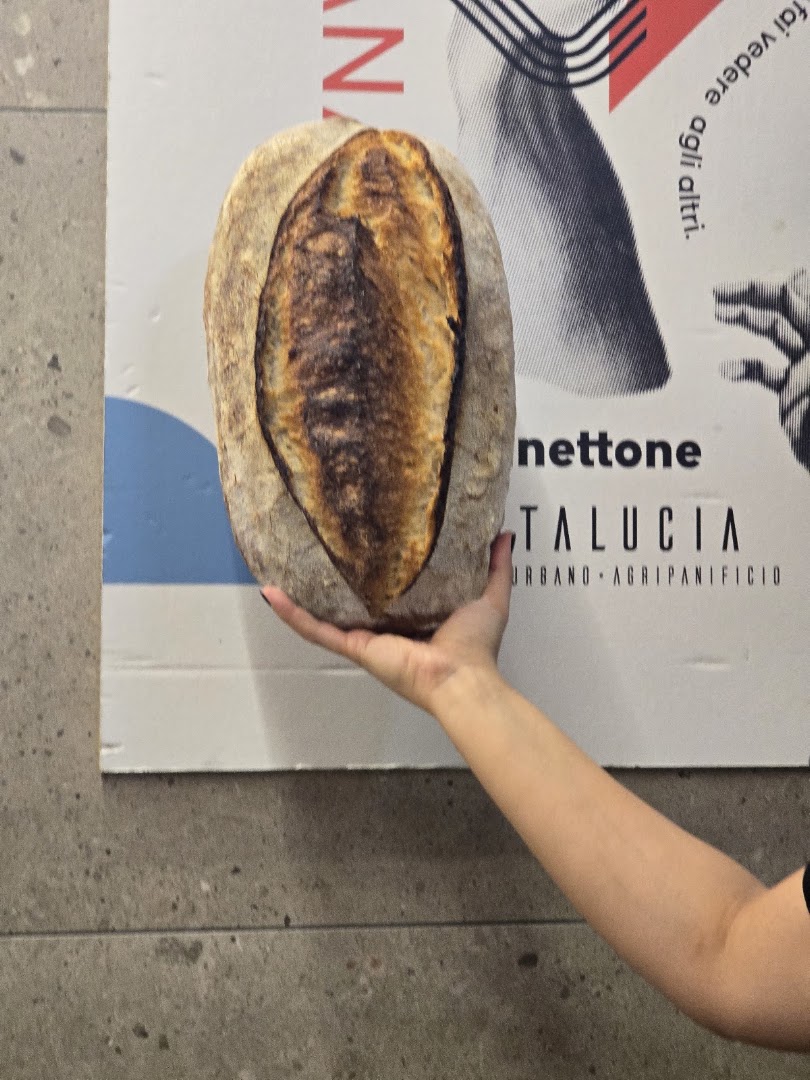 SANTA LUCIA - PANIFICIO URBANO