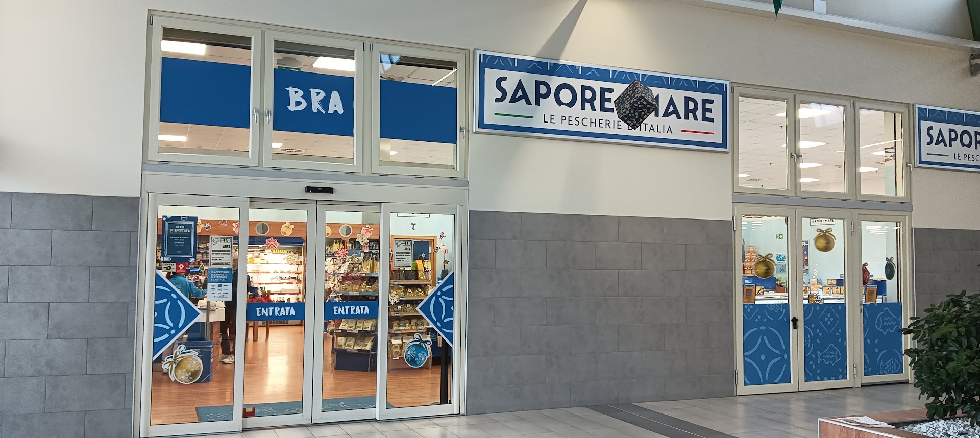 SAPOREDIMARE Bra, Bra